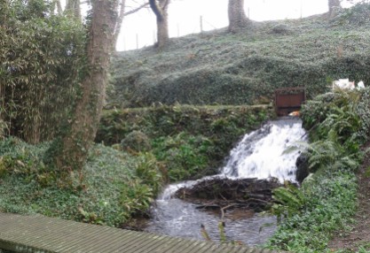 Mill stream at Melin Tregwynt